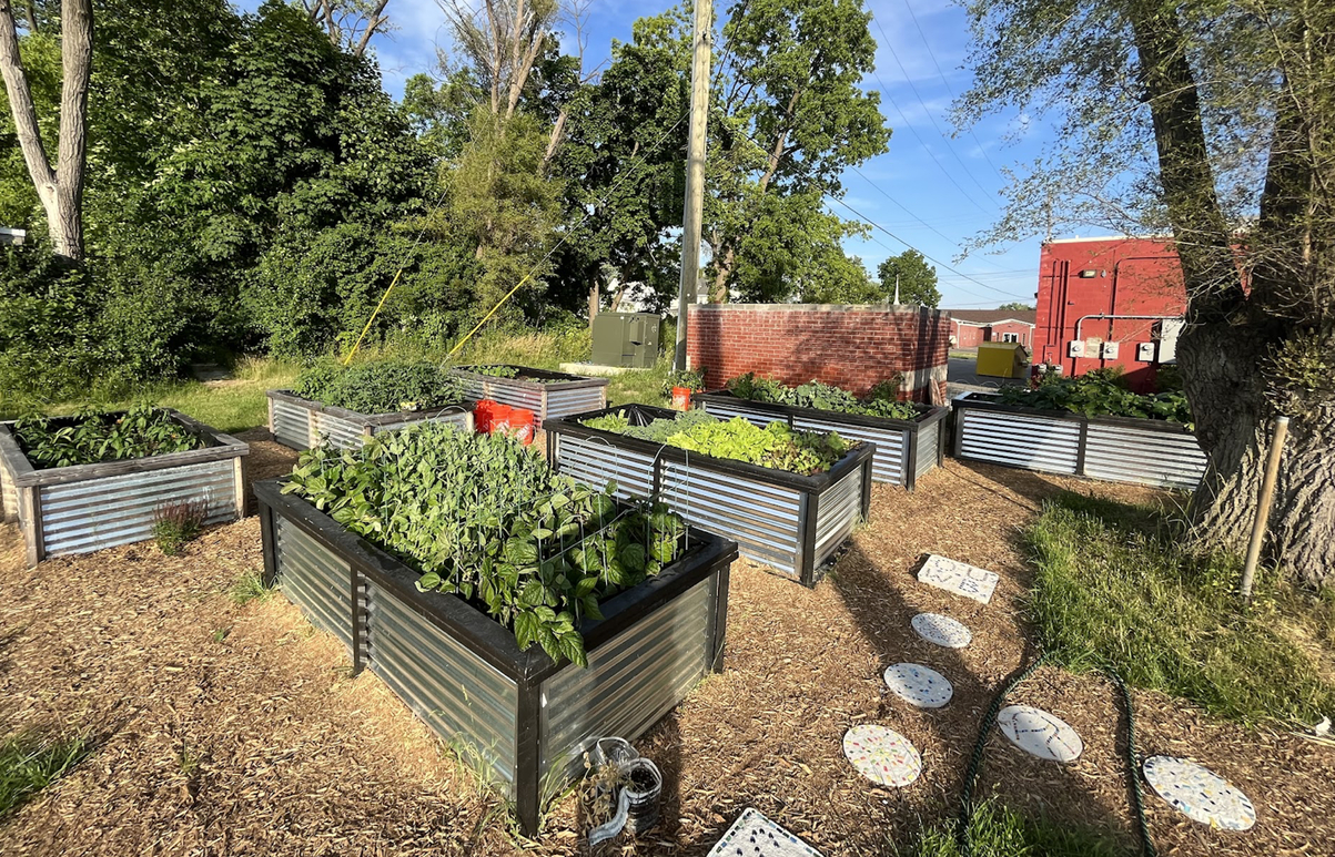 Community garden run by OUWB medical students looks to sustain growth, raise funds